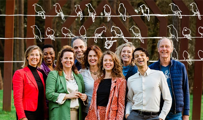 T-Deep-Democracy_team-Human-Dimensions-overzicht-b